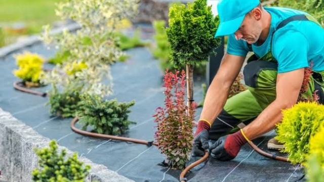 Landscape Maintenance Made Easy: Elevating Your Commercial Landscaping Game