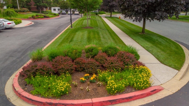 Mastering the Art of Landscape Maintenance: A Guide to Sprucing Up Your Outdoor Spaces