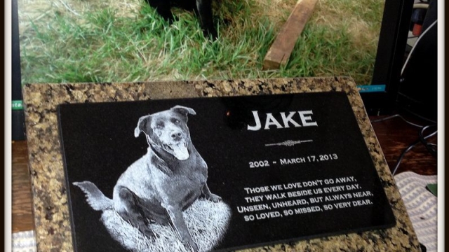 Forever In Our Hearts: Honoring Our Beloved Pets in Memoriam