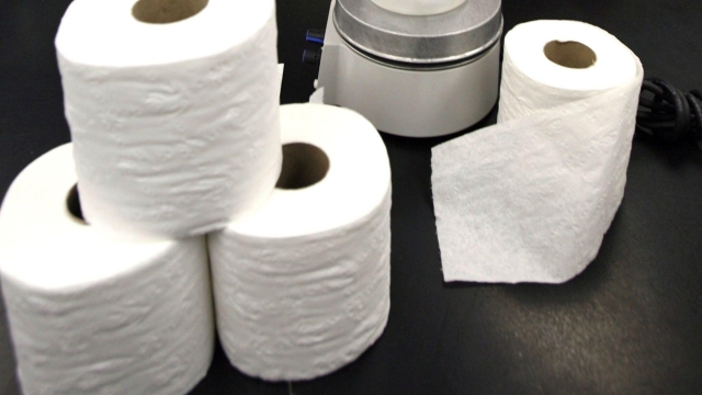 From Necessity to Luxury: An Evolutionary Journey of Toilet Paper