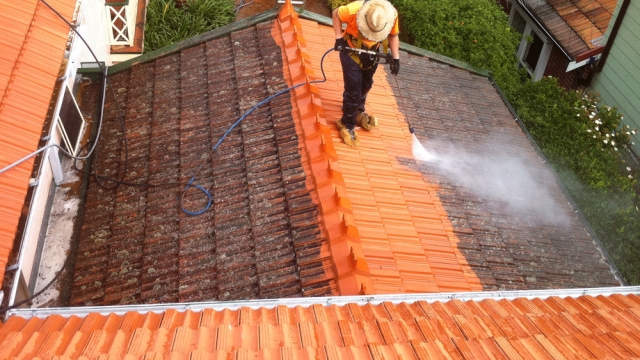 Shining Surfaces: Upgrading Roofs and Reviving Fleets