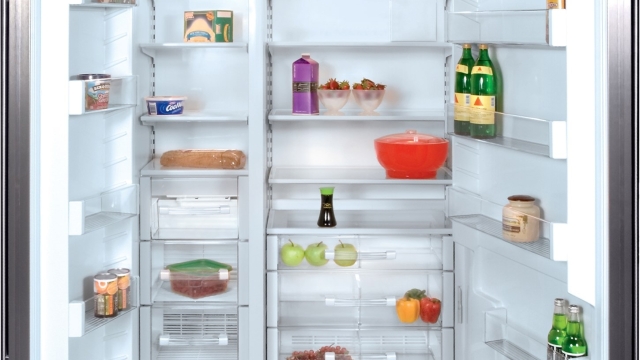 Chilling Efficiency: Unlocking the Power of Sub Zero Appliances and Freezers