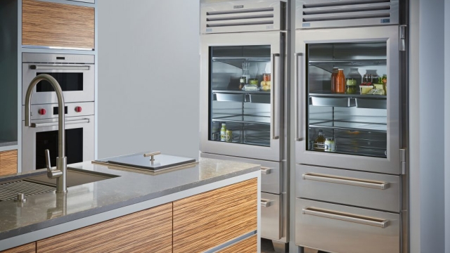 Chilling Innovations: Unleashing Sub Zero Appliances and Freezers