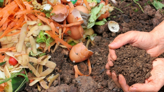 Harvesting the Benefits: Unlocking the Power of Organic Soil and Fertilizer