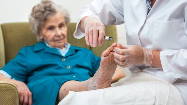 Step into Comfort: Unraveling the Secrets of Forest Hills Podiatry