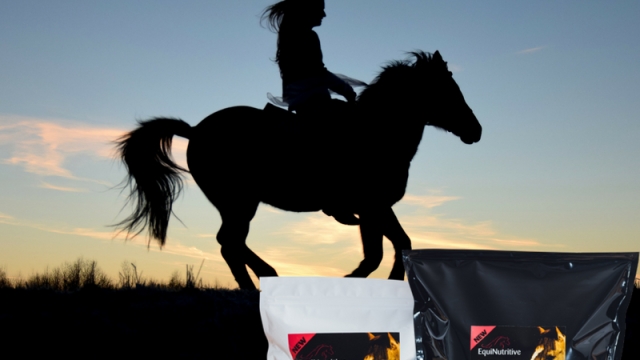 Boosting Equine Wellbeing: Unleashing the Power of Horse Health Supplements