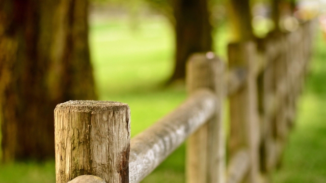Fencing Showdown: Chain Link vs. Wood – Which is Best?