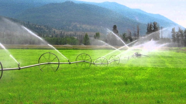Keep Your Lawn Fresh: The Essential Guide to Sprinkler Maintenance
