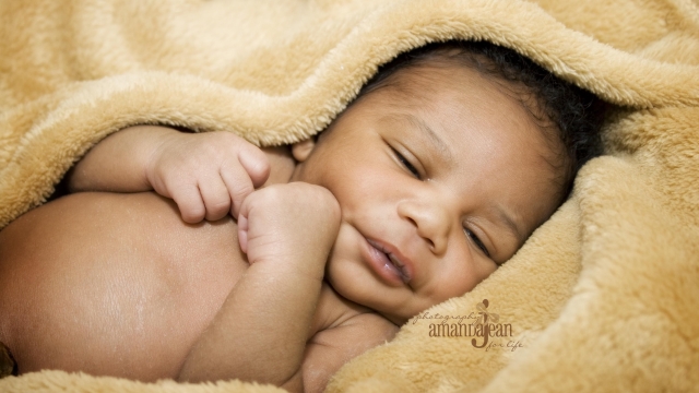 Capturing Innocence: The Art of Newborn Photography