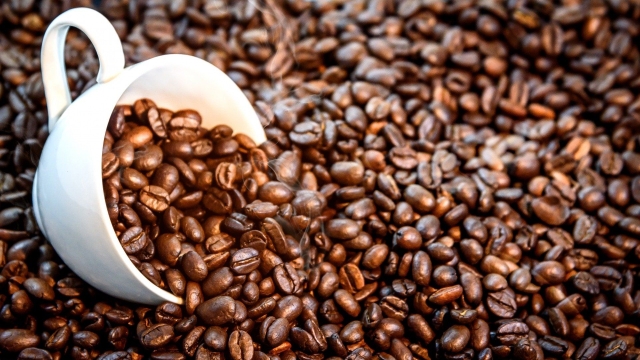 Brewing Perfection: Unveiling the Magic of Organic Coffee Beans