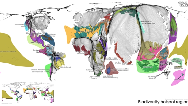 The Symphony of Life: Exploring the Interconnected World of Ecology and Biodiversity