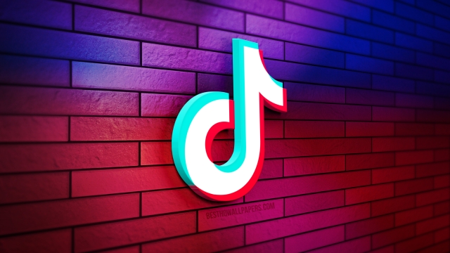 Unleashing Creativity: TikTok Trends to Watch