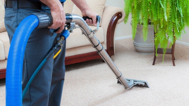 Unveiling the Secrets of Professional Carpet Cleaning